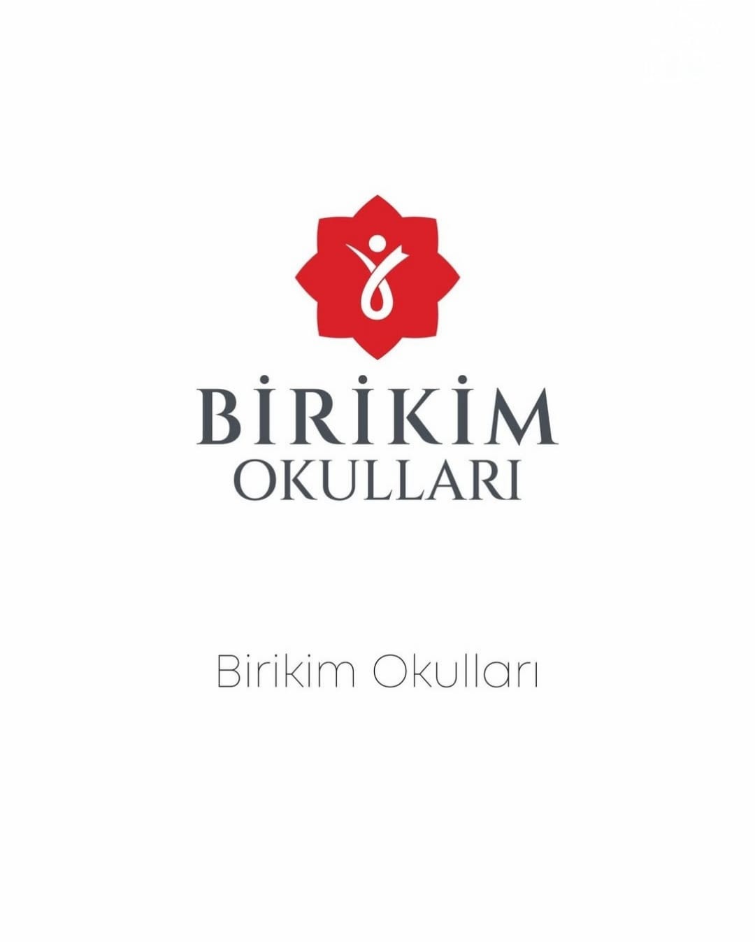 Birikim Okulları Logo
